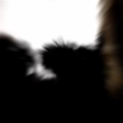 DJ.ozuma🤩某TV局出入り禁止になった、伝説の歌🎶🤣#氣志團 #懐メロ