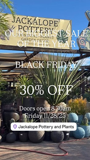 #jackalopepotteryandplants #gardeninspiration #Black Friday Sale | Jackalope Pottery and Plants