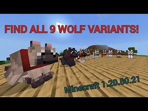 ALL NEW 8 WOLF VARIANTS IN MINECRAFT BETA AND PREVIEW