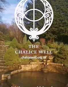 8.7K views · 908 reactions | Blessings from Chalice Well  The Holy Thorn has flowers and berries on Christmas Day. With thanks to Caroline Glazebrook and Ian Bursill for making this video. | The Chalice Well | Facebook