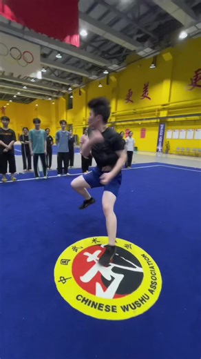 Wushu demonstration #wushu #kungfu #武术 #功夫 #中国功夫 #martialarts #sports #training