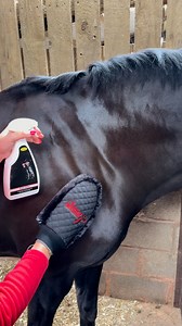 Who needs a diamond ring when your horse is glistening like one? 💎 Meet our NEW Smart Grooming Quilted Mitt, soft faux fur with quilted backing, and the easiest way to get a show-stopping, diamond-level shine with no streaks ✨ Pair with Coat Sheen or Super Shine Spray and buff to a streak free, oil free, flawless shine 👇 | Smart Grooming