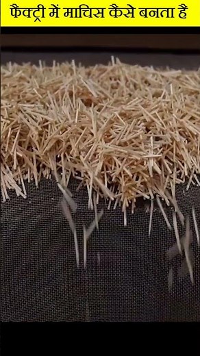 How Matches Box is made in factory