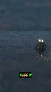 Police Officer's Terrifying Encounter with the Frogman #cryptid #fear