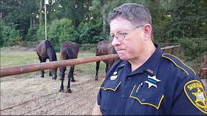 12K views · 336 reactions | VIDEO: A DEPUTY WITH A BIG HEART...AND...