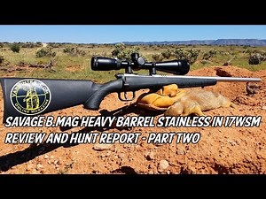 Savage B.MAG Heavy Barrel Stainless in 17WSM Review and Hunt Report - Part Two