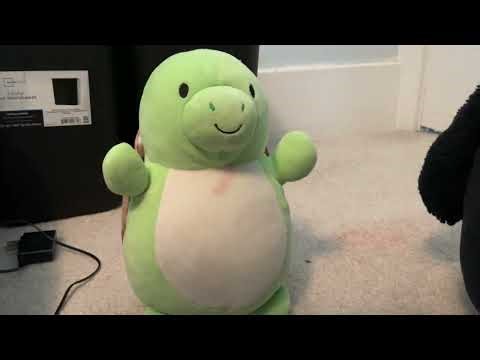 The Turtle Episode S2 E3