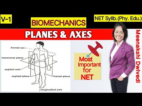 (V-1) Difference between PLANES and AXES | How to analyze movements with the help of Planes and Axes