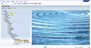 SAP软件 熟悉SAP菜单路径