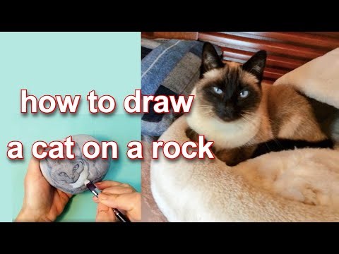 Siamese cat and sea cat. How to draw a cat on a rock