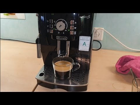 Delonghi Magnifica complete cleaning. brewing piston brewing group water pump and much more...