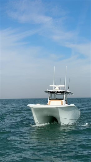 Freeman 32. #freemanboatworks