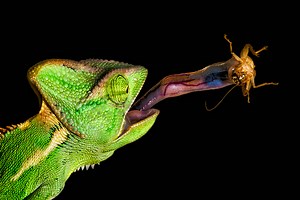 Sell Your Content - Jam Press