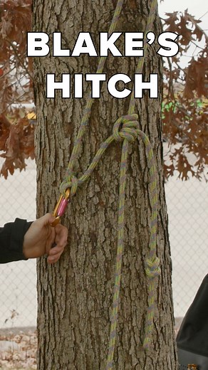 How to tie the Blake’s Hitch by ISA Certified Arborist Jacob Nau, our training and development manager at Russell Tree Experts! 🪢 Check out our YouTube channel for a slower, more in-depth, informational video on the Blake’s Hitch! #tree #trees #knot #knots #knottying #theknot #knotfest #knotwork #knotted #knotting #rope #ropeart #ropeclimb #climb #climbing #climber #climbers #reel #reels #fyp #hitch #tutorial #arborist #arborists #arboristlife #arboristsofinstagram #treework #blake #blakeshitch