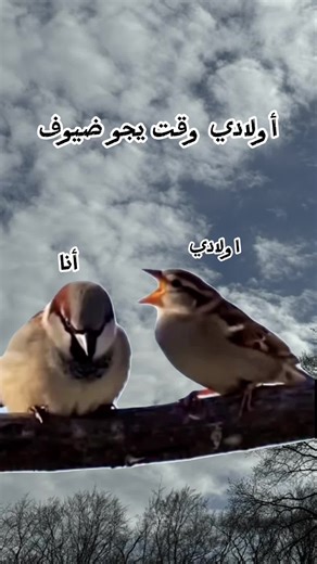 #Meme #MemeCut #مزح#تسلية#