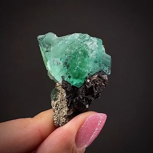 Fluorite on Sphalerite, Pyrite - Cerro de Pasco district, Pasco Province, Peru More info: https://www.irocks.com/minerals/specimen/51036 This is a colorful combination miniature from Peru consisting of rich green Fluorite, contrasted upon red-brown Sphalerite and brassy yellow Pyrite. The 3.5 cm Fluorite has beautiful color with good luster and displays both cube and octahedral faces dramatically from a nice display angle. The crystal is complete, just oddly formed on the bottom and one side whe