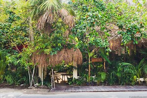 Review: Noma Mexico – René Redzepi's Jungle Pop-up in Tulum