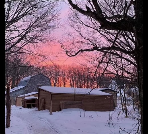 🌿 Welcome to The Oliver Ohana Farm! 🐾 Nestled in Oyster Bed Bridge, PEI, Canada 🇨🇦, we’re a small but passionate hobby farm with a big heart. Not only do we raise animals with love and care, but we also open our gates to rescue animals in need of a second chance at life. ❤️ Come along on our journey — discover the stories behind our furry and feathered residents, learn about compassionate farming, and help us spread awareness through education and hands-on experiences. 📚✨ Let’s make a diffe