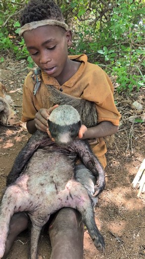 @my_africa_culture on Instagram: "Dangerous Animal 🥺😳‼️ Hadzabe child catch strange animal #africa #traditional #animals #africa #cuture"
