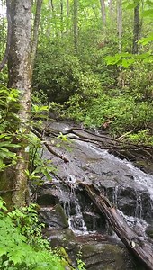 This Afternoon On The Appalachian Trail In NC | Appalachian Adventure Company