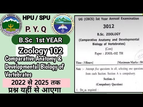 B.Sc 1st Year Zoology 102 Solved Question Paper 2025 | HPU & SPU Exam