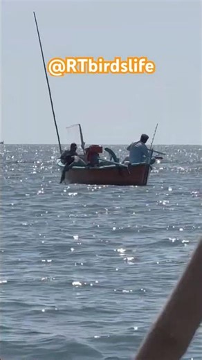 Fish 🐠 Hunting at Deep Sea 2025 #shortsfeed #trending #viralvideo #pakistan