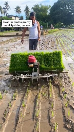 manual rice planter machine 😱 #shorts #farming #machine