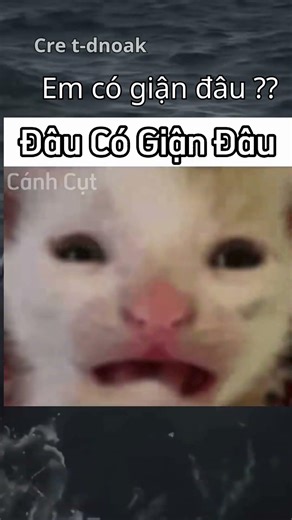 Em càng nói e càng sai