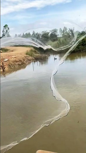 Throwing a net over a bridge breaks like a flower.