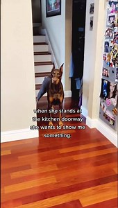 9.4M views · 131K reactions | I think there's a human trapped in her body. She's just too damn smart | Rubydoobydo | Facebook