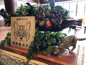 星野リゾート 西表島ホテル