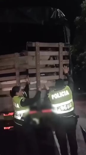 #Captura 🚔 En un operativo de control vial adelantado en el kilómetro 17, vereda Puerta Blanca, sector del peaje de Chicoral, uniformados de la Seccional de Tránsito y Transporte capturaron en flagrancia a dos hombres de 31 y 47 años, oriundos del Huila, por el delito de receptación. ➡ Durante la inspección a una camioneta de estacas de servicio público, los policías hallaron una cabina blanca con el sistema de identificación aparentemente alterado. Tras la verificación en bases de datos, se es