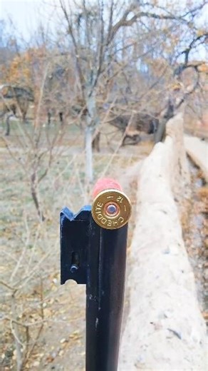 Watch How a Shotgun Eject Ammo shell's I shotgun shell Ejection Demo 12 gauge barrel