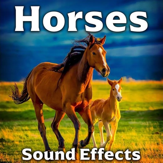 Horses: Pony, Funny Whines