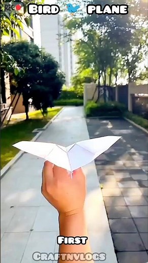 how to make a paper airplane bird 🕊️ || easiest plane #shorts #paper #usa #paperplane