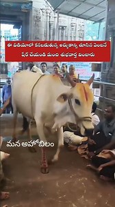 ఓం #god #shiva #om #viral #like #telugu #devotional #hindugod #bhakti #godofwar #likeforlikes #ttd