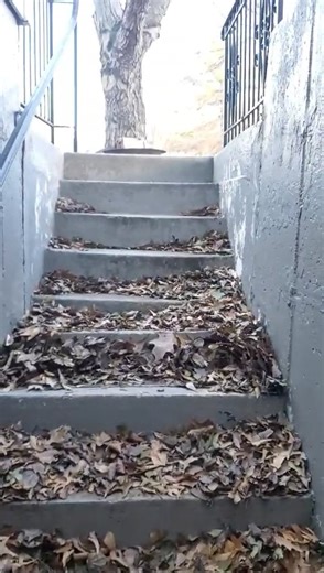 ffb2991a-7122-45af-b37b-9f7e5e1f86ee_4cf9994a-0211-44ff-90c2-5a1f6945c6c5