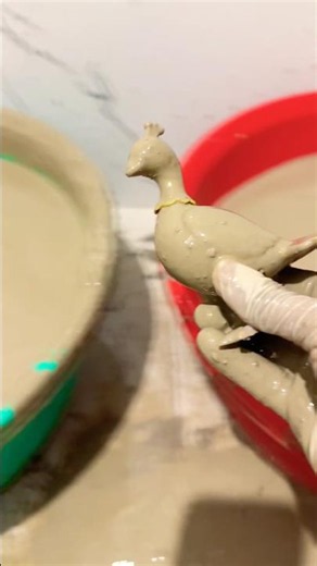 Dirty Peacock Pulled from Muddy Water & Cleaned with Fresh Water! Satisfying Cleaning ASMR