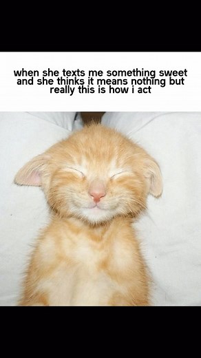 Eternal Romance Notes | quotes, letters and more! ✨ | 👇 What Your BF/GF is Dying To Hear Hidden psychology makes your partner obsessed. Learn what 10,000+ couples discovered. Inside our... | Instagram