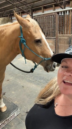 Brandy Von Holten, Author/Speaker/Instructor on Reels