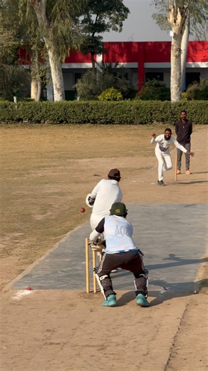 How Easily Placed 4 #cricket #hardballmatch #cricketbatting #hardballbatting