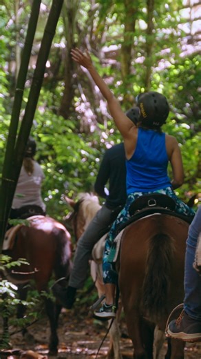 🐴🌿 Pasear a caballo por nuestra hermosa hacienda es una experiencia que encanta a todos. Niños desde los 3 añitos en adelante, ¡toda la familia puede vivir la magia de esta aventura en contacto con la naturaleza! 💚 __ 🐴🌿 Horseback riding through our beautiful ranch is an experience everyone will love. Kids ages 3 and up can join the fun and connect with nature in the most magical way! 💚 . 🐴 Adultos desde $64 y niños desde $39 📌 Luquillo, Puerto Rico. ☎️ Teléfonos: 787-889-5820, 787-889-4