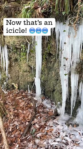 24 reactions | Icicles! #outdoors #ice #freezing #winter #frozen | Dan Brown | Facebook