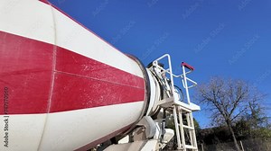 Guineafowl (Numida meleagris) walking and feeding on a grass field