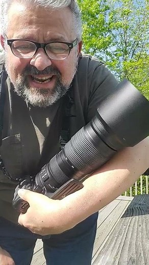 Nikon D850 and Bird PHOTOGRAPHY
