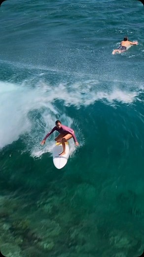 20K views · 44 reactions | ✨ @livonlabs ✨Habits form routines, routines shape the lifestyle you dream of. . For our family, health is the ultimate wealth—nurturing it daily builds the foundation for a vibrant life. And calling this paradise home? That’s the cherry on top. ☀️ . But also this song was trending and I’m digging it do you know what the lyrics mean? #HealthyHabits #RoutineToRadiance #livonlabs #vitaminc #vitaminsea | Julia Mancuso | Facebook