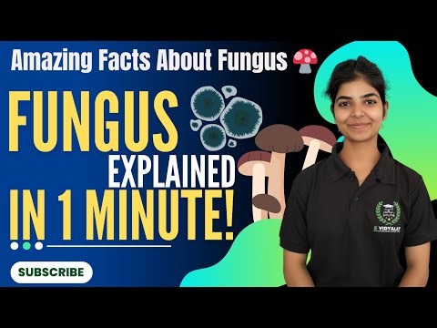 Fungi Made Easy – Everything You Need to Know in 1 Minute by Apoorva ma'am