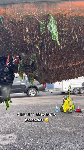 Satisfying Boat Cleaning - Seaweed & Barnacles Removal