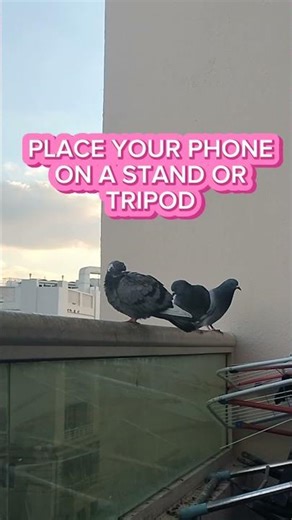 HOW I MAKE A TIME LAPSE VIDEO Complete Tutorial Explained Through Time-Laps #timelapse #tutorial