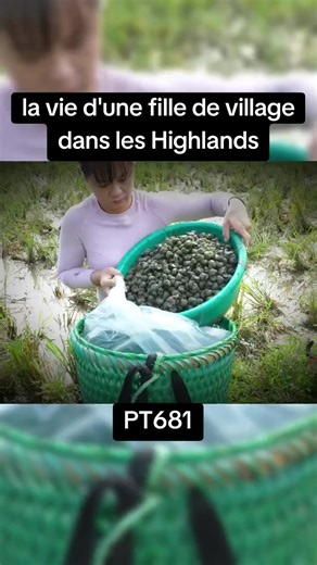 Bushcraft Skills: Building a Shelter While Camping